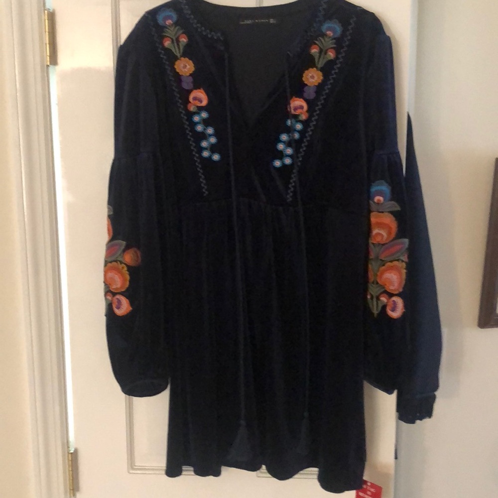 NWT Zara women’s embroidered velveteen dress
